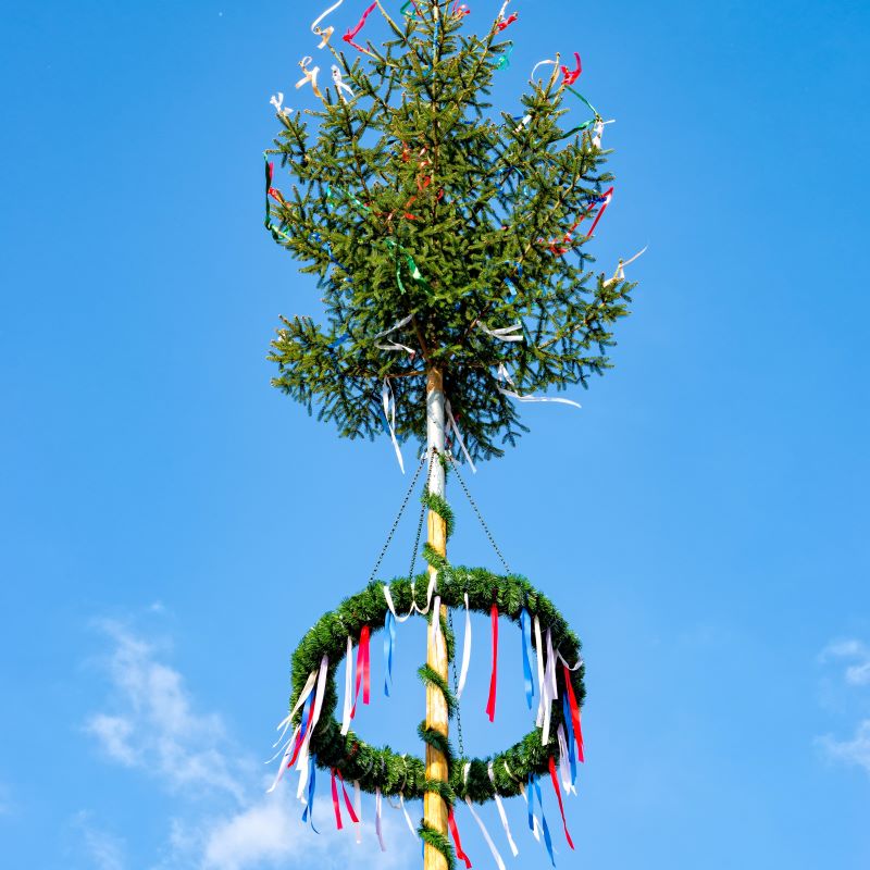 Geschmückte Maibaum-Krone mit einem Kranz mit bunten Schleifen vor blauem Himmel